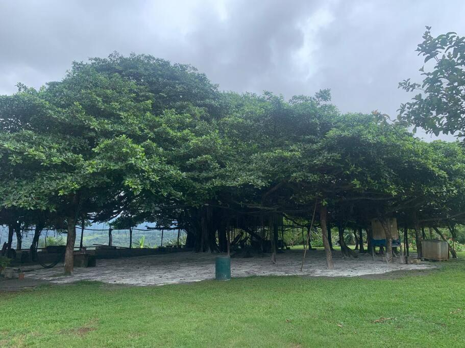 Appartamento Disfruta Del Contacto Con La Naturaleza Puntarenas Esterno foto