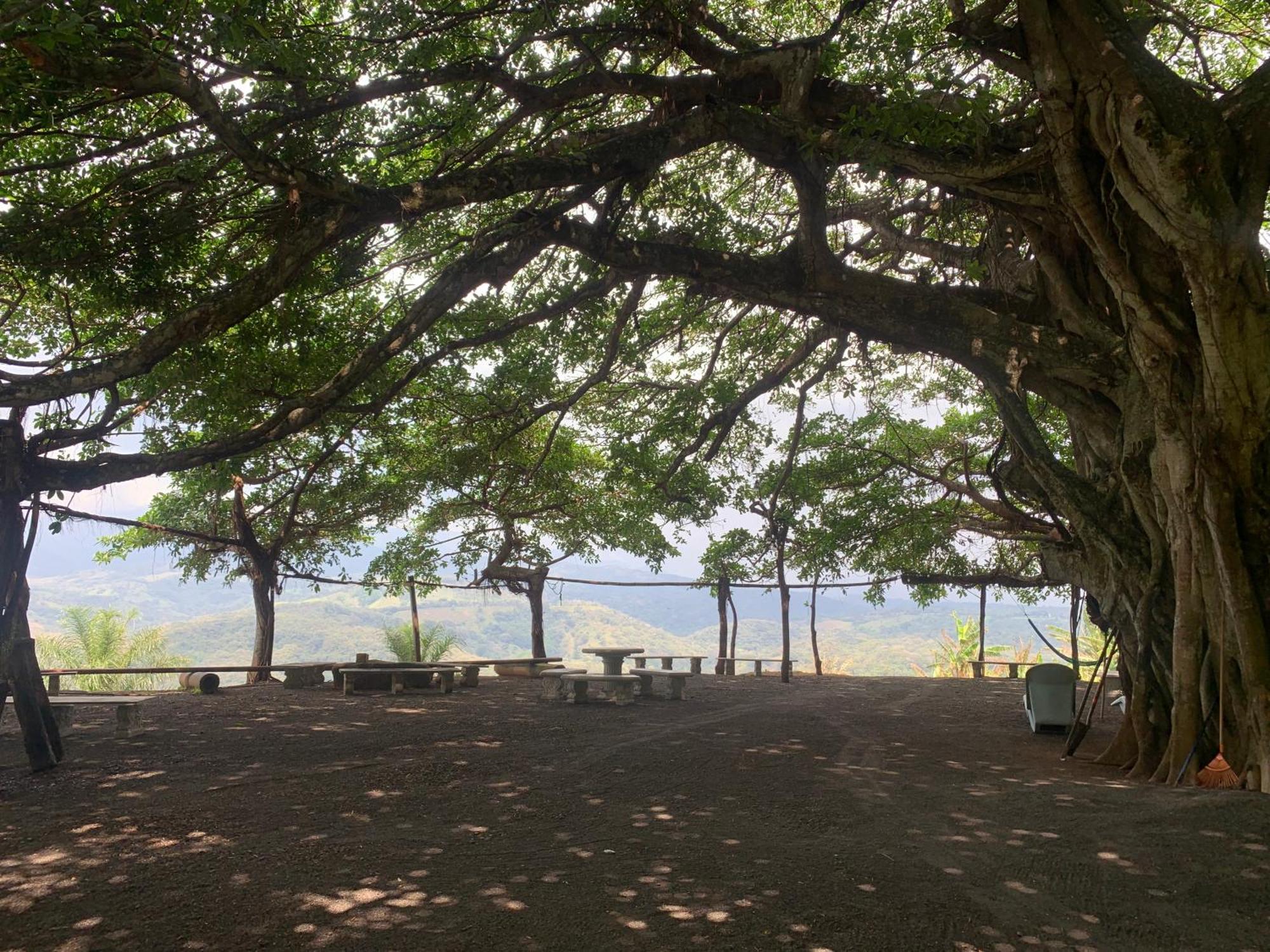 Appartamento Disfruta Del Contacto Con La Naturaleza Puntarenas Esterno foto