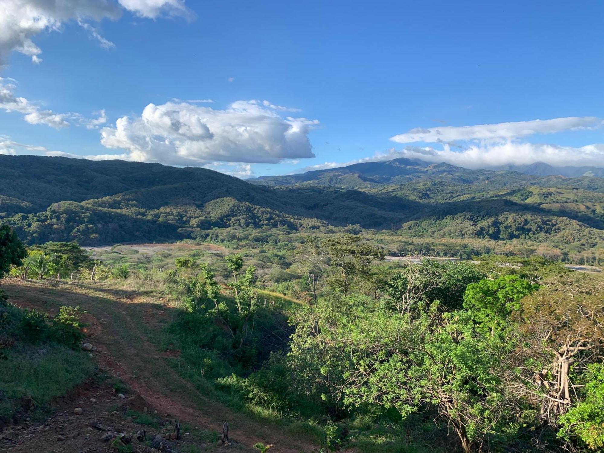 Appartamento Disfruta Del Contacto Con La Naturaleza Puntarenas Esterno foto